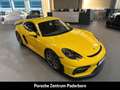 Porsche Cayman 718 GT4 Clubsportpaket Rückfahrkamera LED Gelb - thumbnail 15