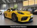 Porsche Cayman 718 GT4 Clubsportpaket Rückfahrkamera LED Gelb - thumbnail 13