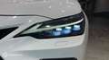 Lexus NX 450h+ 450h+ F SPORT Executive 4WD MY24 - thumbnail 17