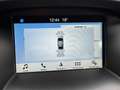 Ford Focus ST-Line Nero - thumbnail 14