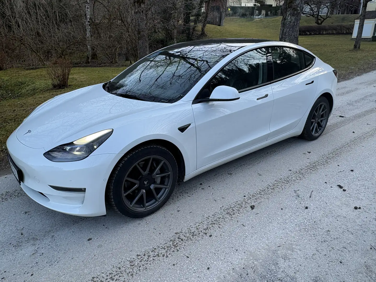 Tesla Model 3 Long Range AWD 75kWh Weiß - 1