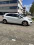 Kia Rio 1.2 CVVT Plus Pack Wit - thumbnail 2