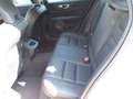Volvo V60 B3 Inscription Aut./Navi/Leder/Kamera/Memory Weiß - thumbnail 11