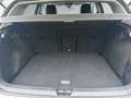 Volkswagen Golf VIII 2.0 TDI DSG GOAL LED+NAVI+AHK+RFK+ACC+ Weiß - thumbnail 7