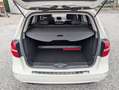 Mercedes-Benz B 180 B 180 (246.242) Weiß - thumbnail 24