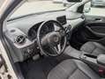Mercedes-Benz B 180 B 180 (246.242) Weiß - thumbnail 15