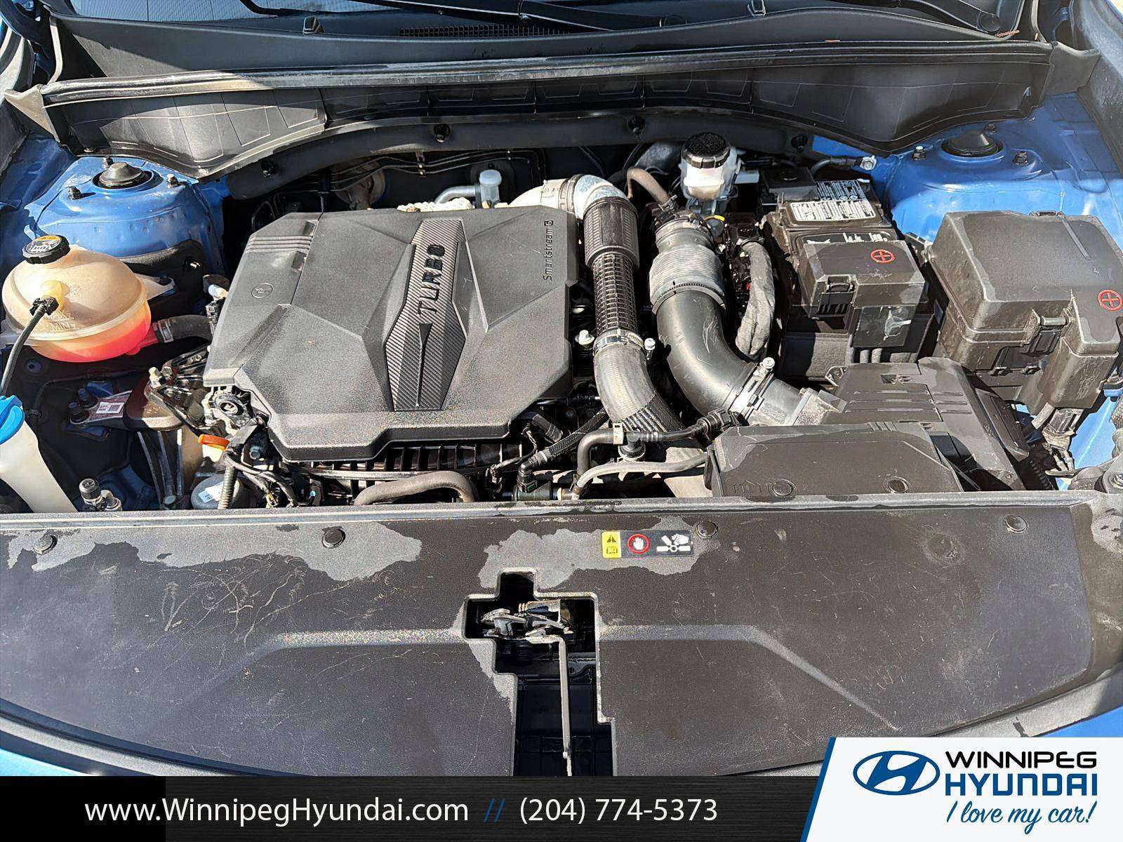 used 2021 Kia Sorento car