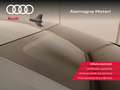 Audi A8 60 3.0 tfsi e quattro tiptronic Gris - thumbnail 14
