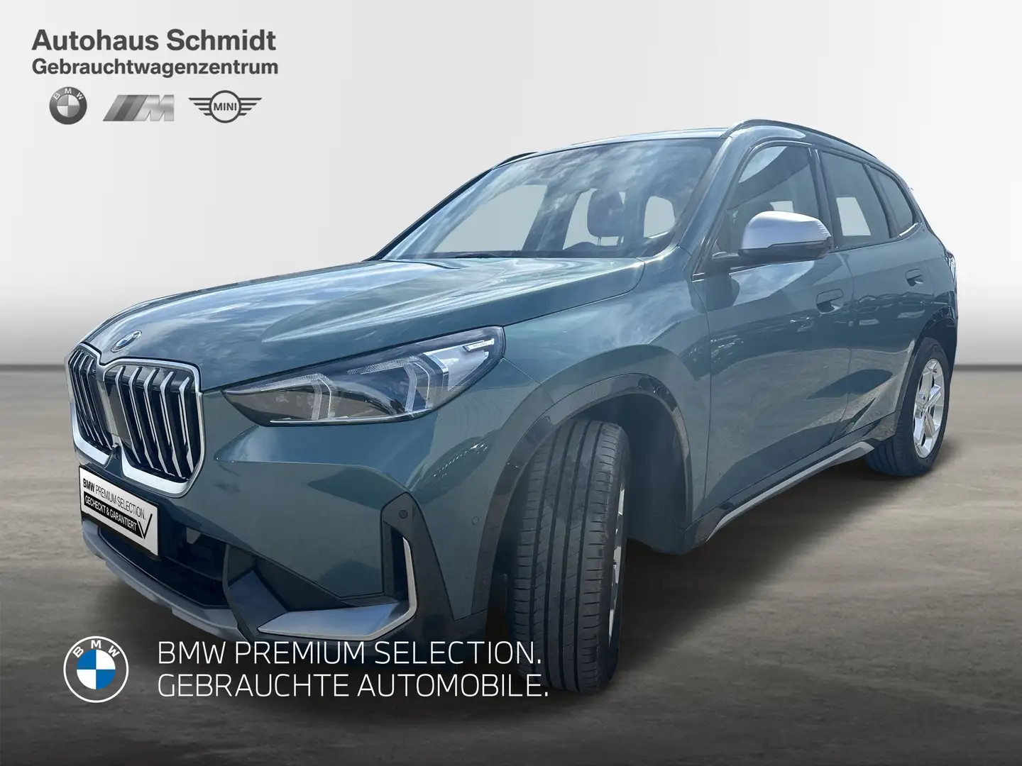 BMW X1 xDrive20d X Line*AHK*18 Zoll*Driving A Prof*Head U Grün - 1
