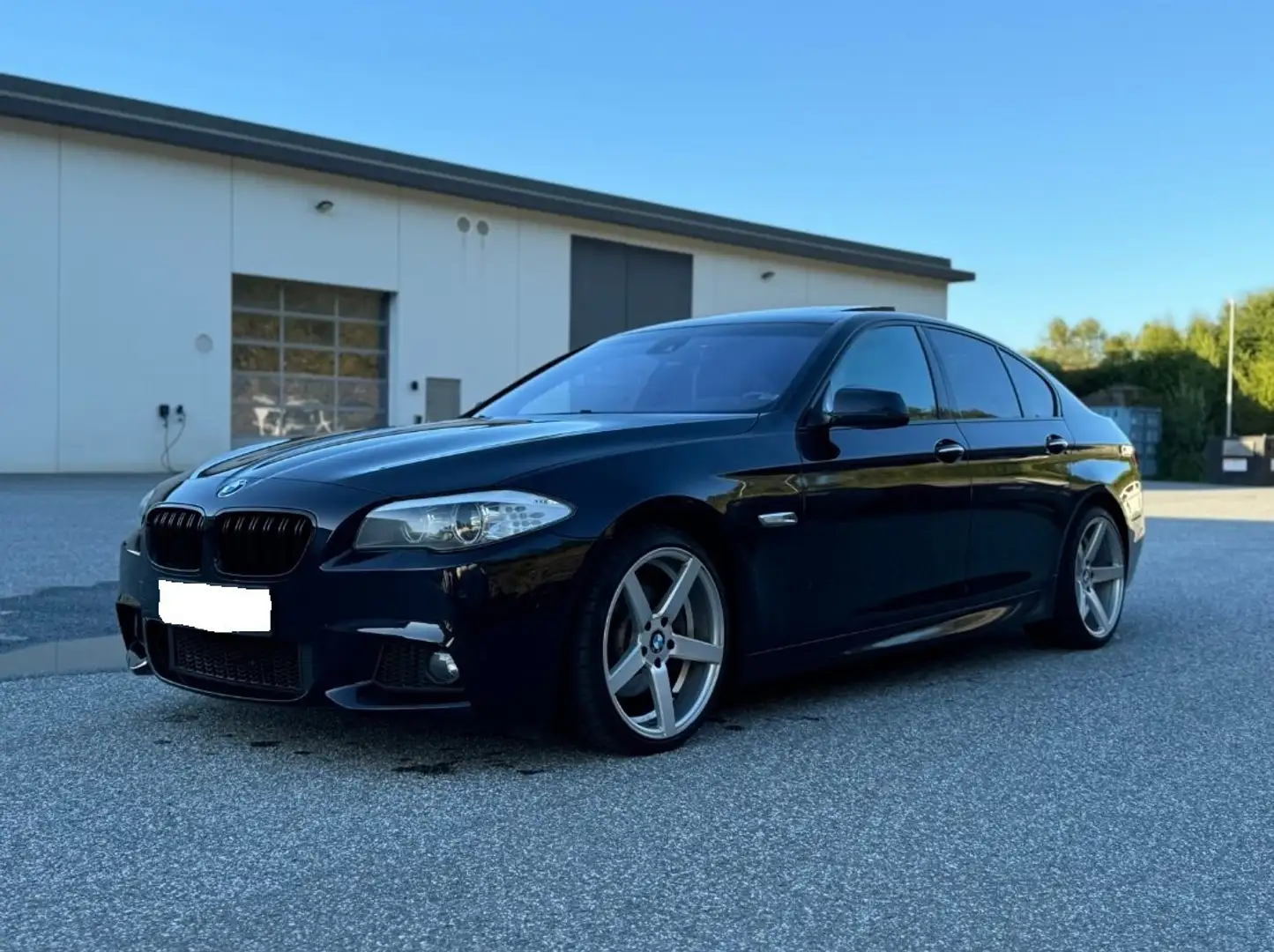 BMW 520 520d xdrive Luxury 184cv auto E6 - 1