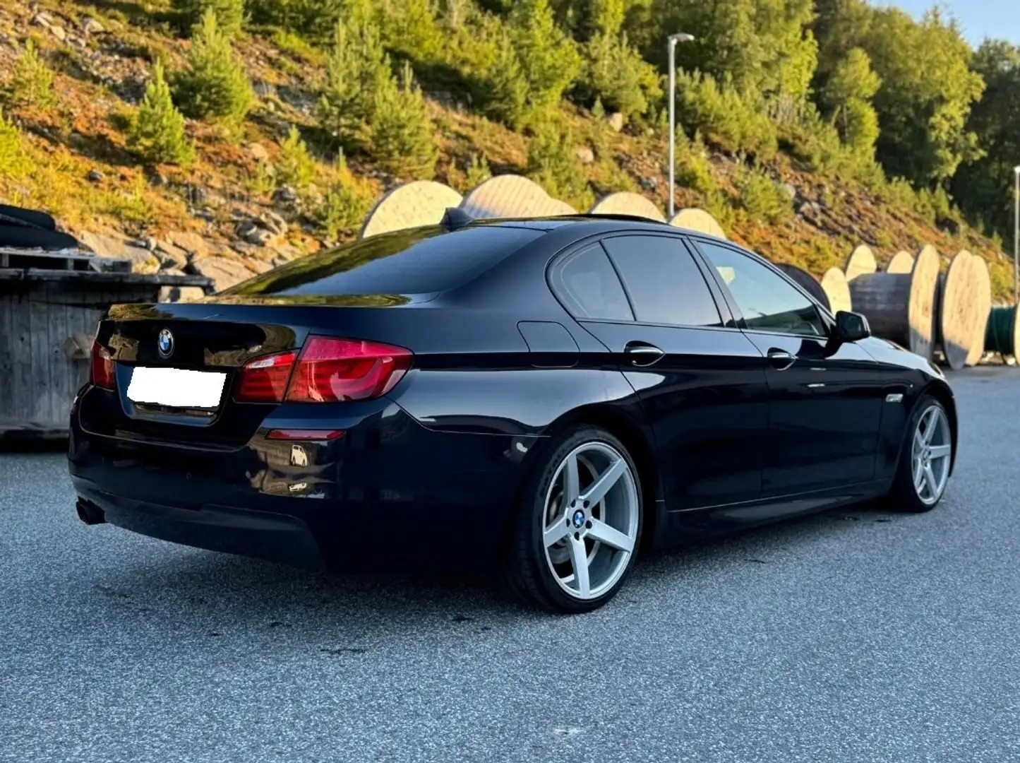 BMW 520 520d xdrive Luxury 184cv auto E6 - 2