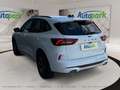 Ford Kuga ST-Line X Plug-In Hybrid ST-Line X Weiß - thumbnail 6
