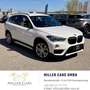 BMW X1 xDrive 20d Sport Line Aut.*Erstbesitz*Servicege... Weiß - thumbnail 4