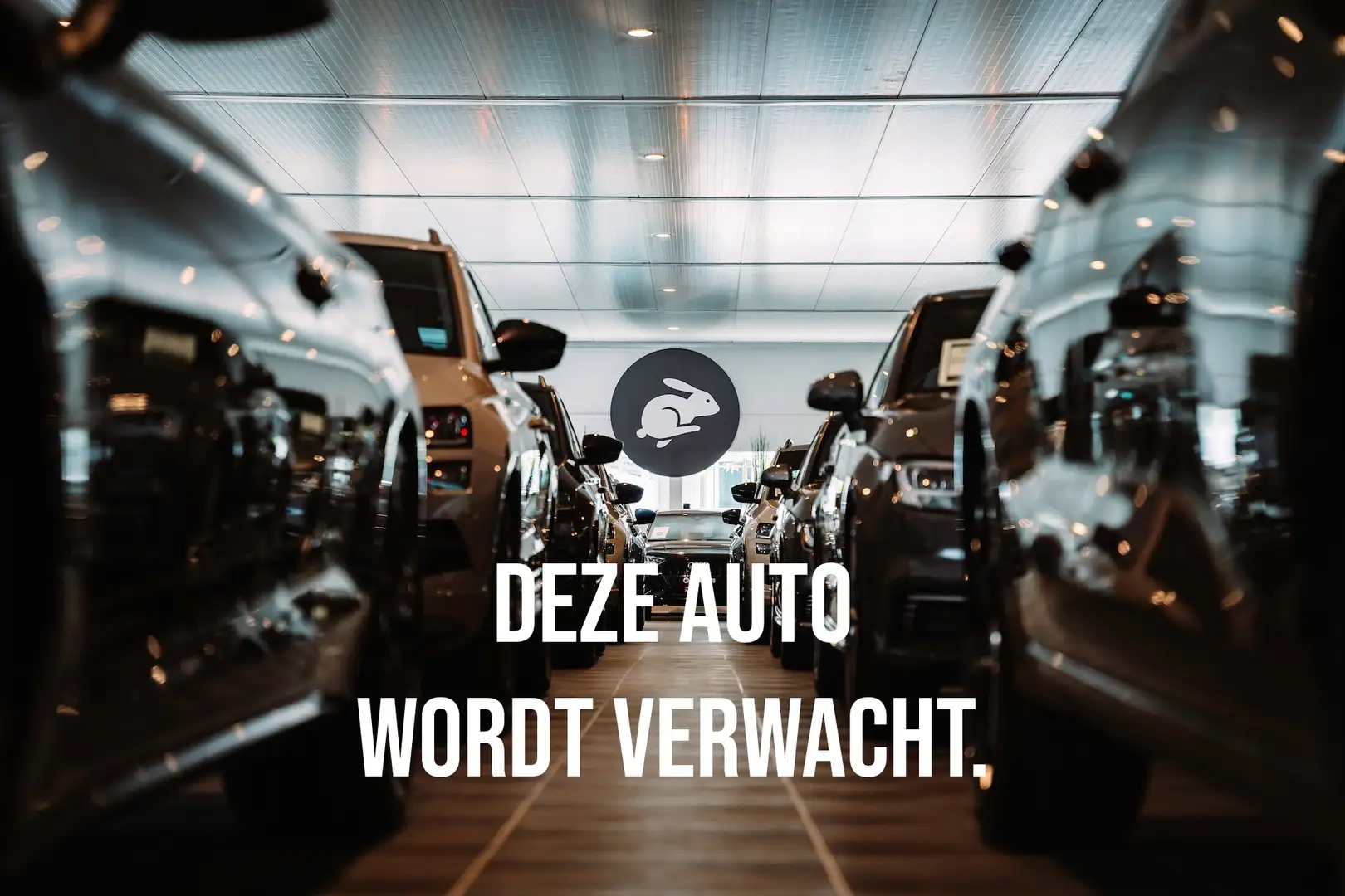 Volkswagen T-Roc 1.5 TSI R-Line/Pano dak/Trekhaak/Camera/19 inch Grijs - 1