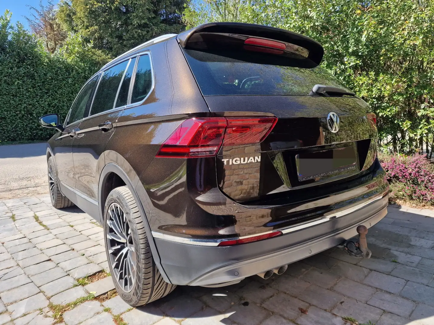 Volkswagen Tiguan 2.0 TDi SCR 4Motion Highline BMT DSG - 2
