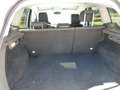 Ford Kuga Titanium2X4_Audio_Alu_Klima Weiß - thumbnail 5