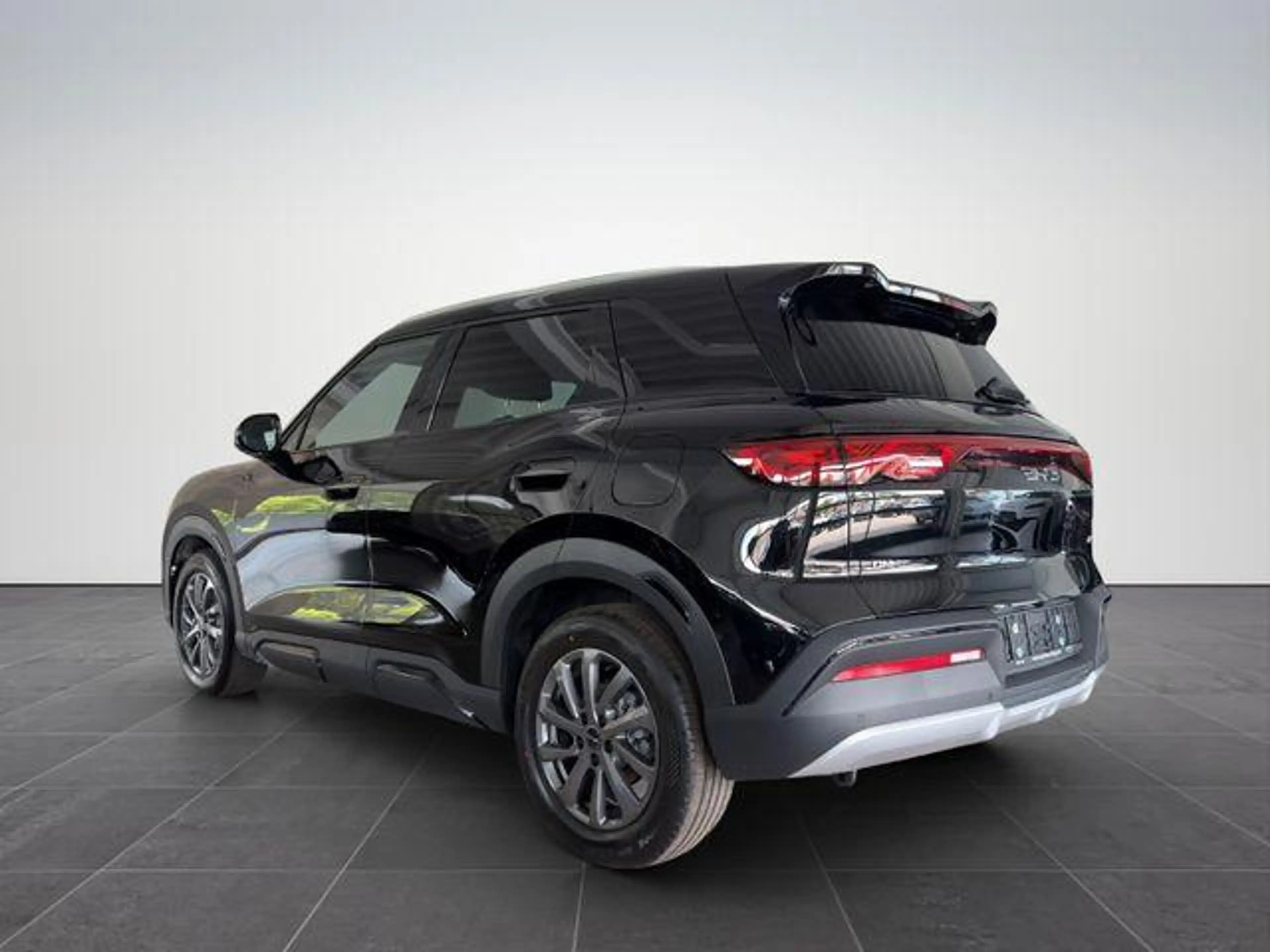 BYD Atto 2 DM-i Boost /PANO/SHZ/SOFORT 156 kW (212 PS), Au... — photo 5