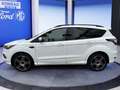Ford Kuga Kuga 1.5 EcoBoost ST-Line *XENON*elek.-HECKKL.*KAM Blanc - thumbnail 3