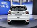 Ford Kuga Kuga 1.5 EcoBoost ST-Line *XENON*elek.-HECKKL.*KAM Blanc - thumbnail 6
