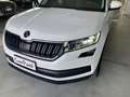 Skoda Kodiaq Kodiaq  2.0 tdi evo Style 4x4 200cv dsg Bianco - thumbnail 5