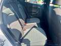 SEAT Arona 1,0 TSI Xperience Navi LED Rückfahrk. Weiß - thumbnail 7