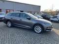 Skoda Octavia 1,5 TSI DSG Selection Combi + AHK + Voll LED + Kam Grau - thumbnail 6