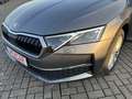Skoda Octavia 1,5 TSI DSG Selection Combi + AHK + Voll LED + Kam Grau - thumbnail 8