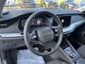 Skoda Octavia 1,5 TSI DSG Selection Combi + AHK + Voll LED + Kam Grau - thumbnail 7