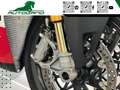 Ducati Panigale V2 955 Troy Bayliss Replica Rood - thumbnail 11