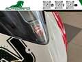 Ducati Panigale V2 955 Troy Bayliss Replica Rood - thumbnail 7