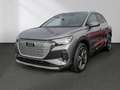 Audi Q4 e-tron 40 advanced Navi Matrix LED Standhzg. Grau - thumbnail 12