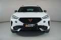 CUPRA Formentor 2.0 TDI 150CV DSG 4 DRIVE Alb - thumbnail 3