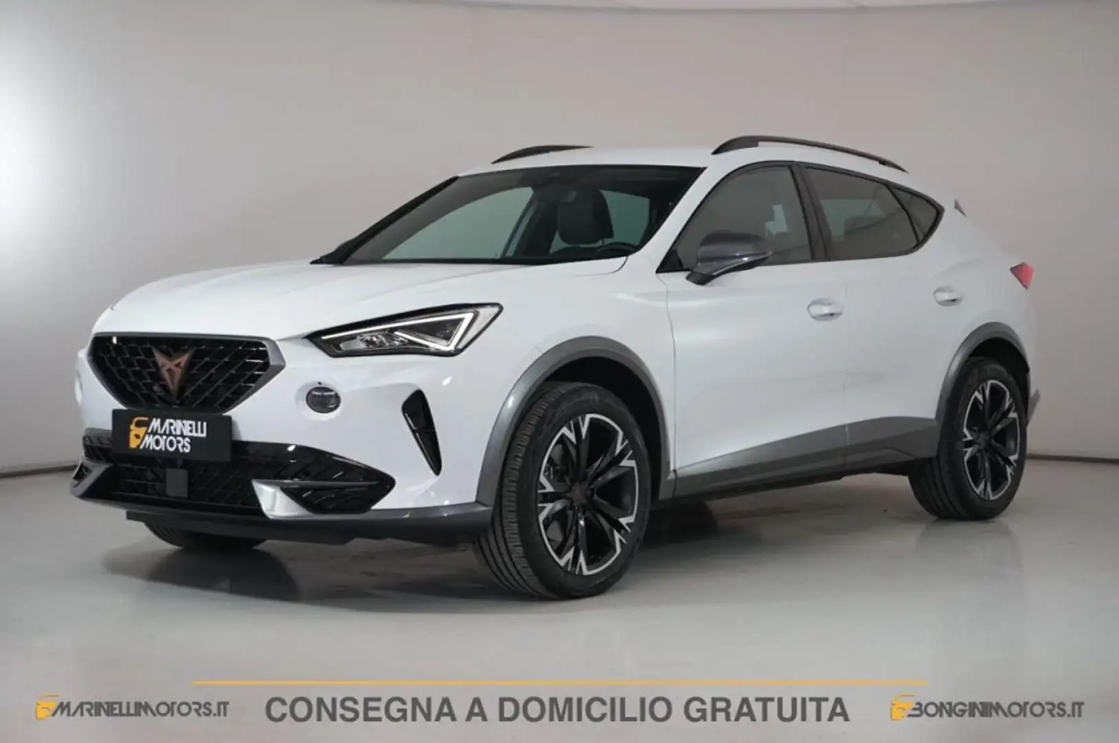 CUPRA Formentor 2.0 TDI 150CV DSG 4 DRIVE Alb - 1