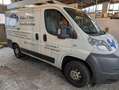 Fiat Ducato Ducato 11 C1A LKW Weiß - thumbnail 3