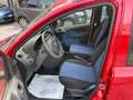 Fiat Panda Panda 1.2 Dynamic eco OK NEOPATENTATI Rosso - thumbnail 9