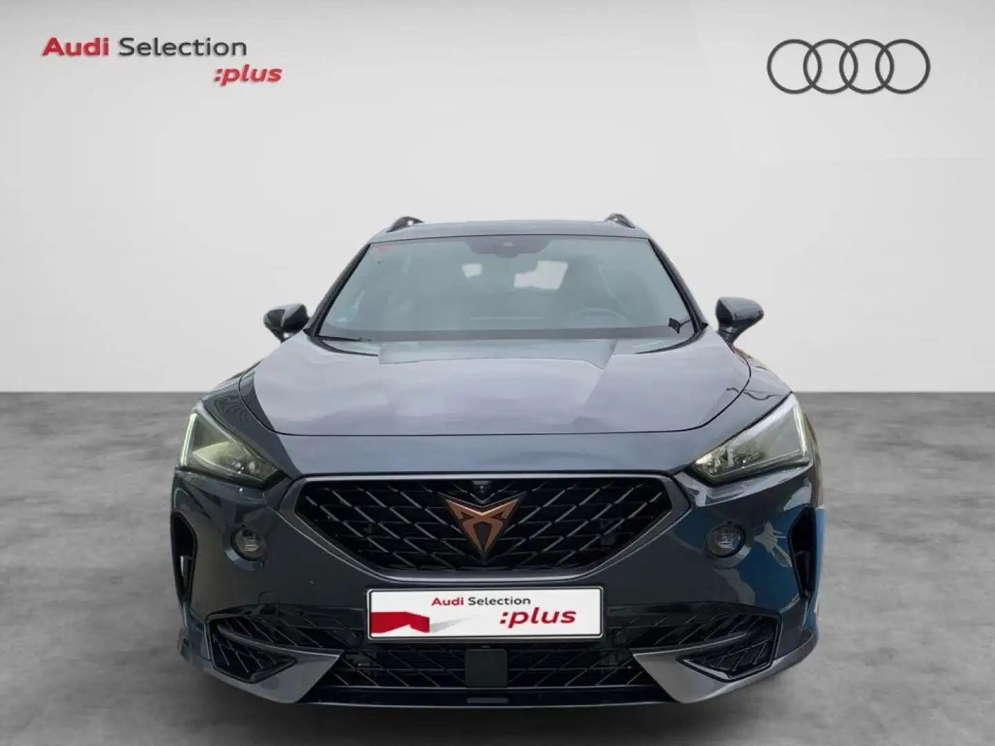 CUPRA Formentor 2.0 TSI 310 VZ DSG 4Drive Gris - 2