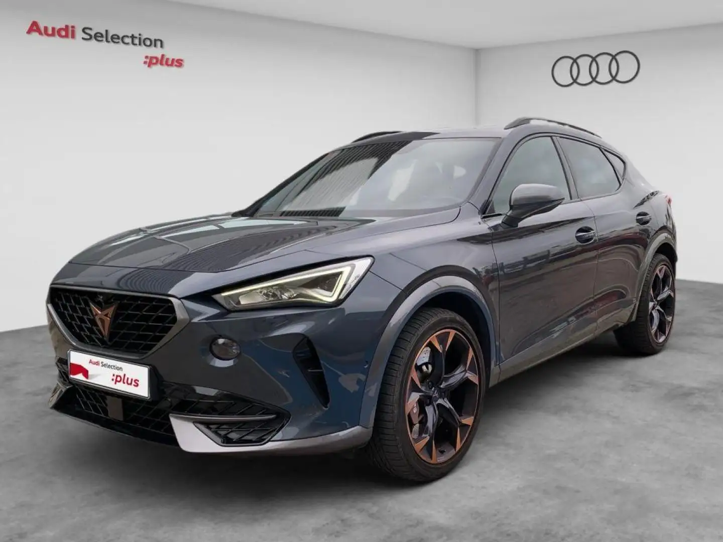 CUPRA Formentor 2.0 TSI 310 VZ DSG 4Drive Gris - 1