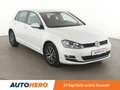 Volkswagen Golf 1.2 TSI Allstar BMT*PDC*SHZ*KLIMA*TEMPO* Blanco - thumbnail 8