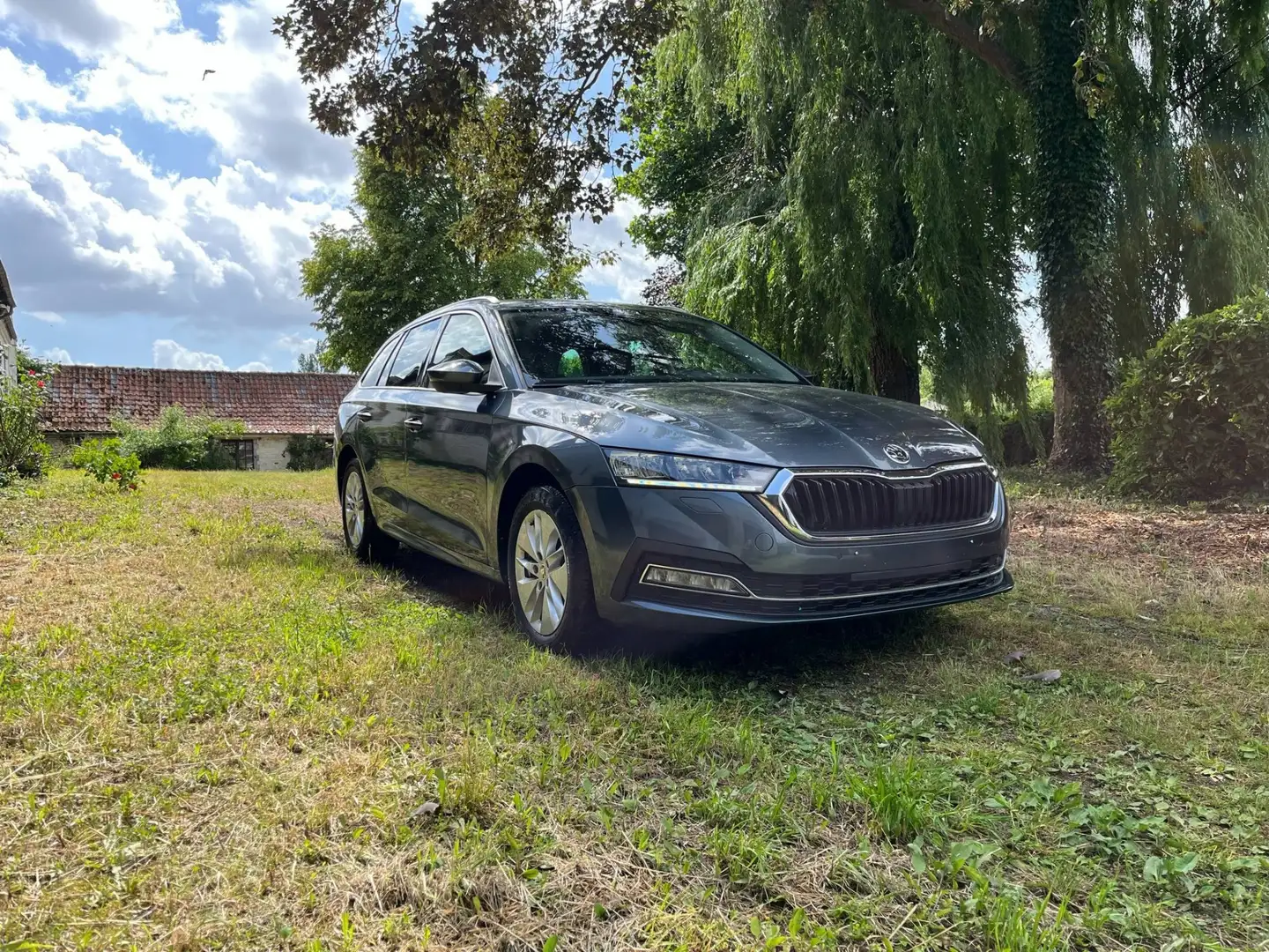 Skoda Octavia Clever+ Gris - 1