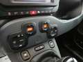 Fiat Panda Panda III 2021 Cross 1.0 firefly hybrid Cross s Blanco - thumbnail 14