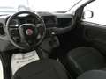 Fiat Panda Panda III 2021 Cross 1.0 firefly hybrid Cross s Blanco - thumbnail 11