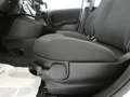 Fiat Panda Panda III 2021 Cross 1.0 firefly hybrid Cross s Blanco - thumbnail 13