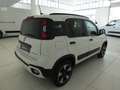 Fiat Panda Panda III 2021 Cross 1.0 firefly hybrid Cross s Blanco - thumbnail 6