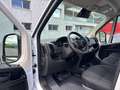 Citroen Jumper 30 L2H1 BlueHDi 120 Weiß - thumbnail 9