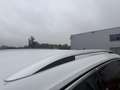 Volkswagen Tiguan Elegance 1.5 TSI Navi ACC El. Heckklappe Weiß - thumbnail 24