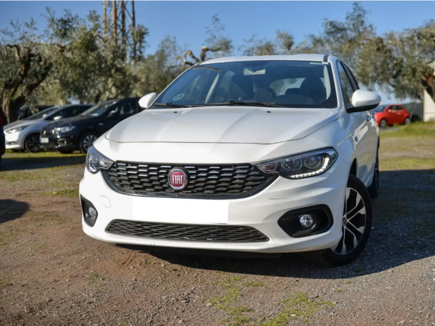 Fiat Tipo Station Wagon 1.0 T3 CityLife Bianco - 2