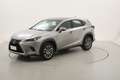 Lexus NX 300 Hybrid Premium 4WD 2.5 Full Hybrid 197CV Grau - thumbnail 1