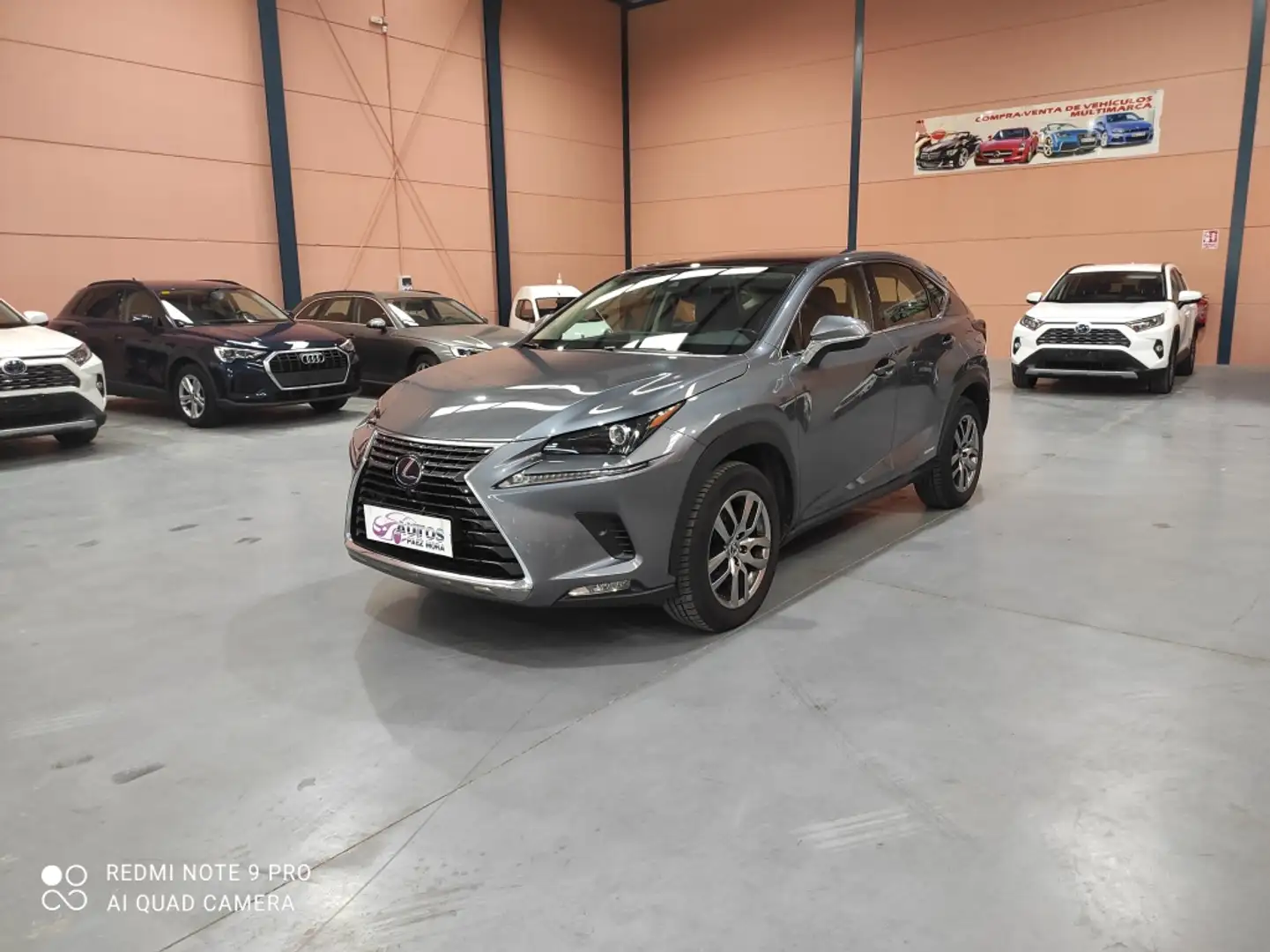 Lexus NX 300 300h Premium+ 4WD Gris - 1