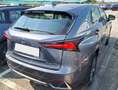 Lexus NX 300 300h Premium+ 4WD Gri - thumbnail 5