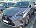 Lexus NX 300 300h Premium+ 4WD Gri - thumbnail 3